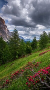 Przełęcz Falzarego Pass w Dolomitach