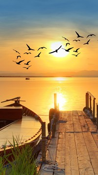 Przelot ptaków nad jeziorem wczesnym rankiem
