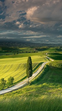 Przez pola Toskanii