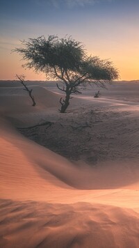 Pustynia Wahiba Sands w Omanie