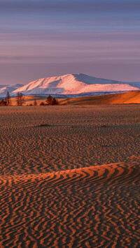 Pustynny piasek i ośnieżona góra w tle