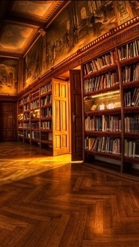 Regały z książkami w bibliotece