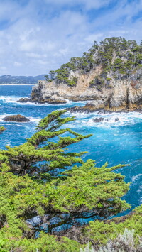 Rezerwat przyrody Point Lobos