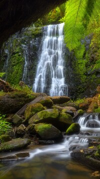 Roślinność przy wodospadzie Monomeith Falls