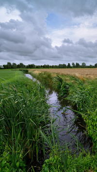 Rów na polach