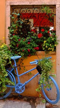 Rower z kwiatami pod oknem