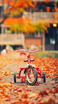 Rowerek w parku jesienną porą