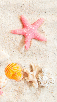 Różowa rozgwiazda i żółta muszelka na piasku