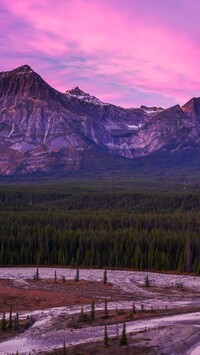 Różowe niebo nad lasami i górami Canadian Rockies