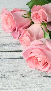 Różowe róże na deskach