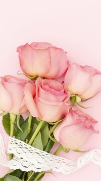 Różowe róże ze wstążką