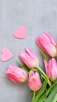 Różowe serduszka i tulipany