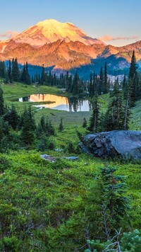 Rozświetlona góra Mount Rainier w Parku Narodowym Mount Rainier