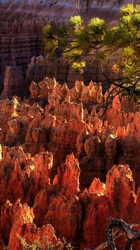 Rozświetlone skały w Bryce Canyon