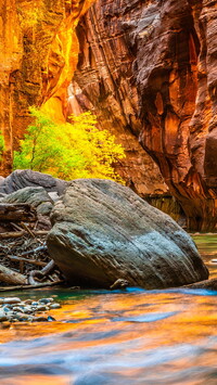 Rozświetlone skały w kanionie Zion Narrows