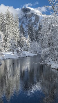 Rozświetlone słońcem ośnieżone drzewa nad rzeką Merced