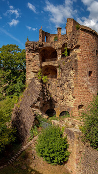 Ruiny zamku Heidelberg