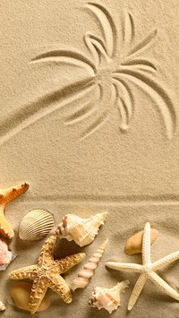 Rysunek z muszelkami na piasku