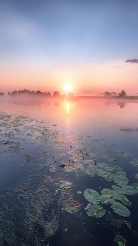 Rzeka Dubna o wschodzie słońca w Łotwie