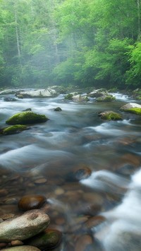 Rzeka Little River