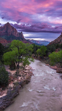 Rzeka Virgin River i góra Watchman w tle