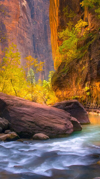 Rzeka Virgin River i kanion Zion Narrows