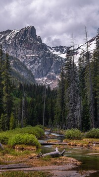 Rzeka w Parku Narodowym Grand Teton