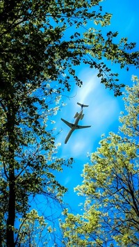 Samolot nad wierzchołkami drzew