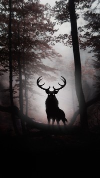 Samotny jeleń w ciemnym lesie