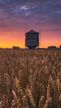 Silos na polu zboża