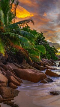 Skały i palmy na wyspie La Digue