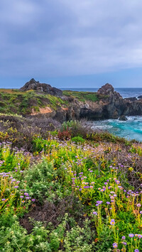 Skały na kalifornijskim wybrzeżu Big Sur