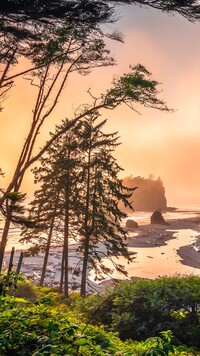 Skały na plaży Ruby Beach