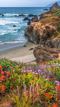 Skały na wybrzeżu w regionie Big Sur