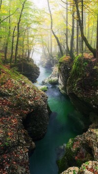 Skały omszałe nad rzeką