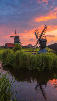 Skansen Zaanse Schans w Holandii