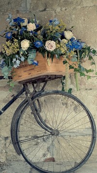 Skrzynka kwiatów na rowerze pod murem