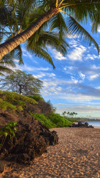 Słoneczna plaża na Hawajach