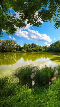 Słoneczny dzień nad jeziorem