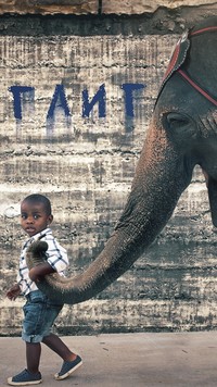 Spacer ze słoniem