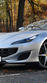 Srebrne Ferrari Portofino