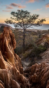 Stanowy Rezerwat Przyrody Torrey Pines