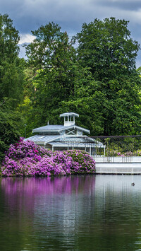 Staw w holenderskim parku Paleispark Het Loo