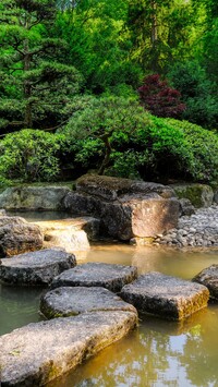 Staw w ogrodzie japońskim