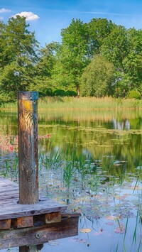 Staw w Parku Britzer Garten