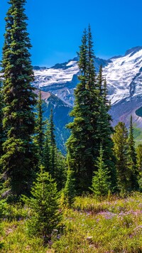 Stratowulkan Mount Rainier