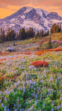 Stratowulkan Mount Rainier