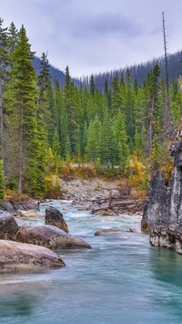 Strumień Tokumm Creek