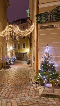 Świąteczna dekoracja ulicy w Tallinie