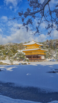 Świątynia Kinkaku ji nad stawem Kyko chi zimową porą